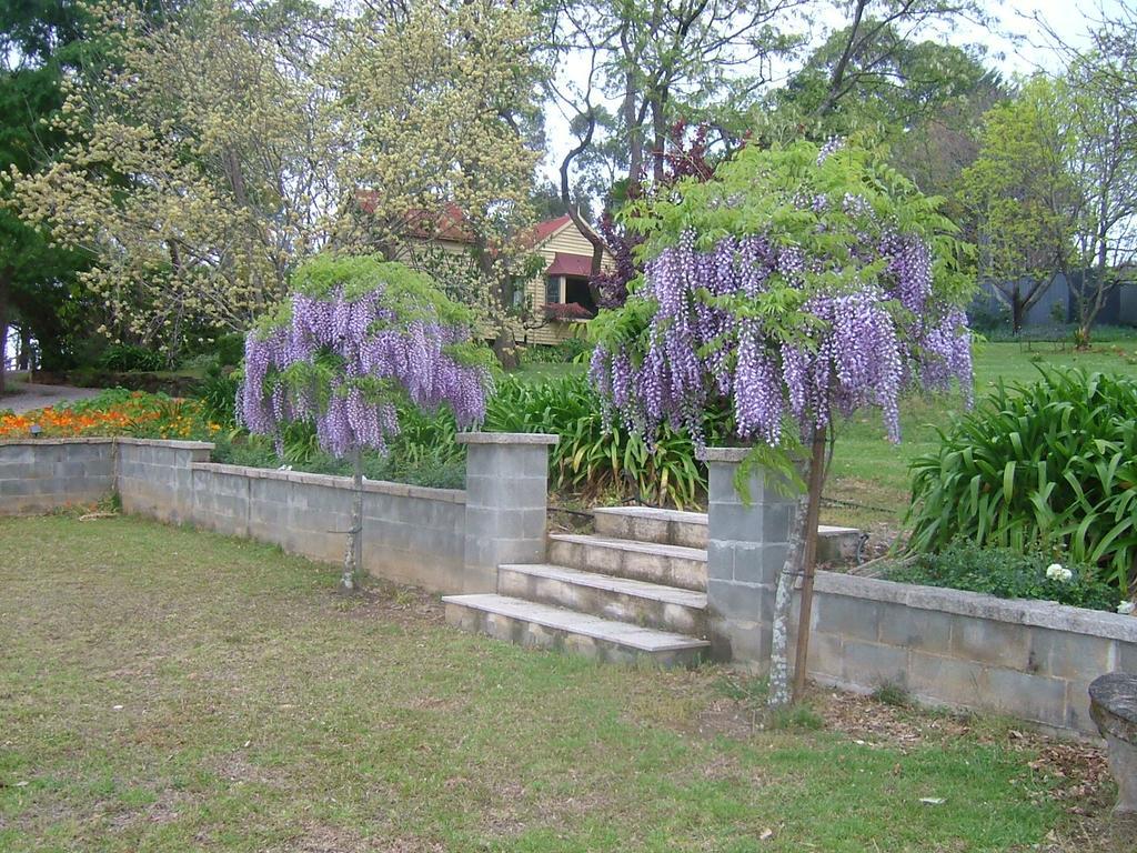 Kurrajong Hermitage Cottage المظهر الخارجي الصورة